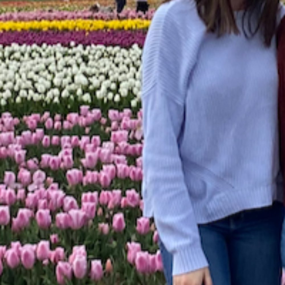 Baby Blue Hollister Sweater